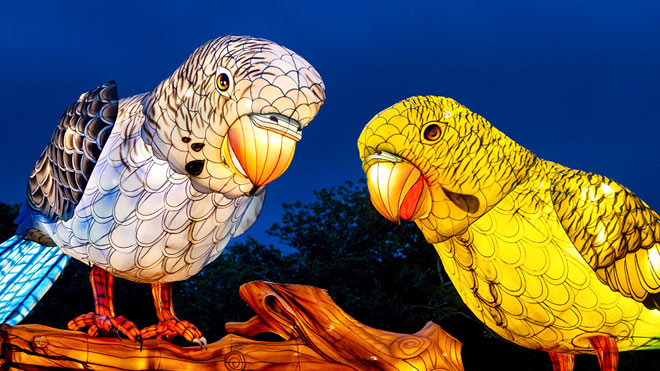 Two large holiday light birds.